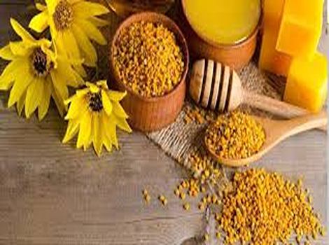 فروش گرده گل طبیعی به قیمت عمده